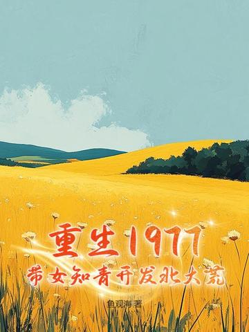 重生七十年代知青文